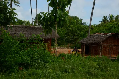 DSC_8085 (Large).JPG